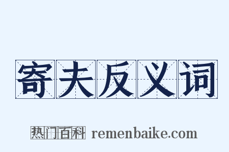 寄夫反义词是什么意思的图片